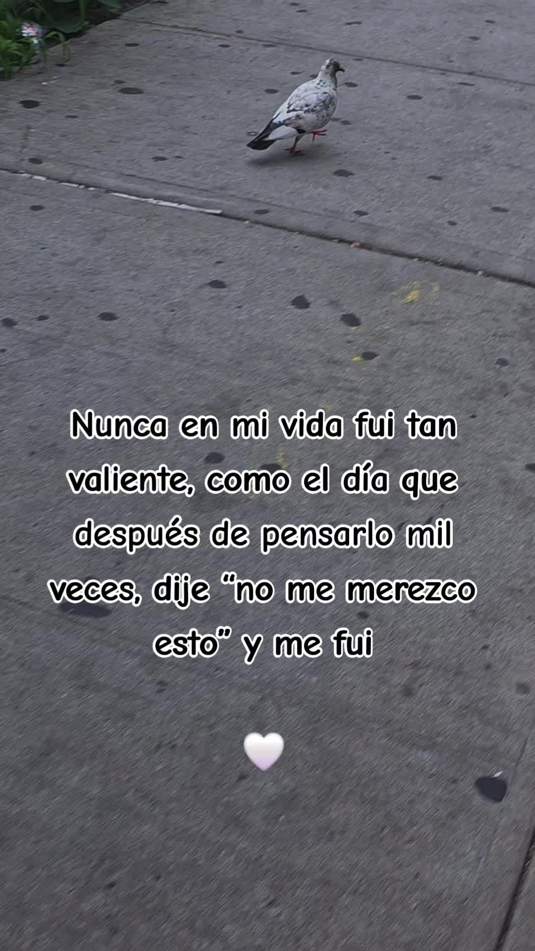 @🎶🎵🎧LUNA🎶🎵🎧