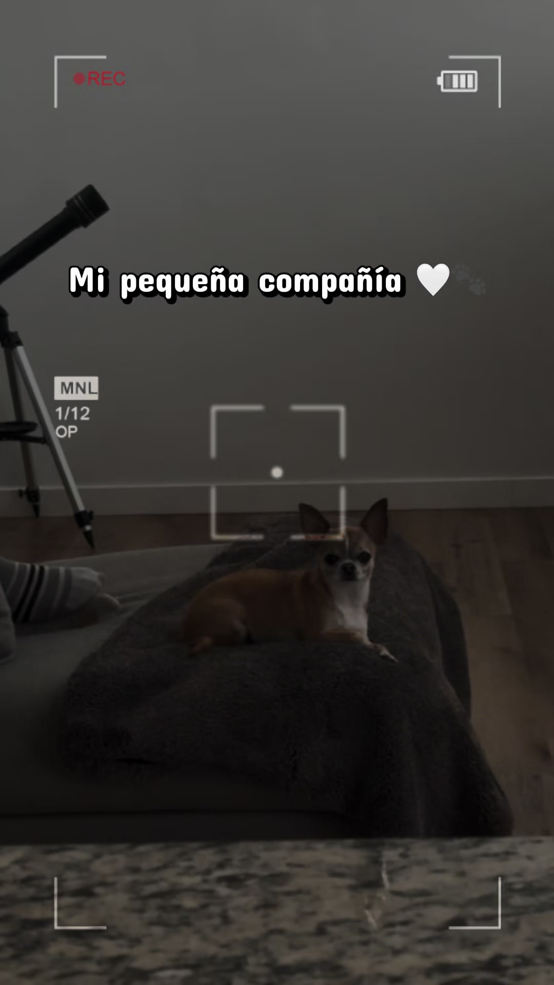 @Naty 💕