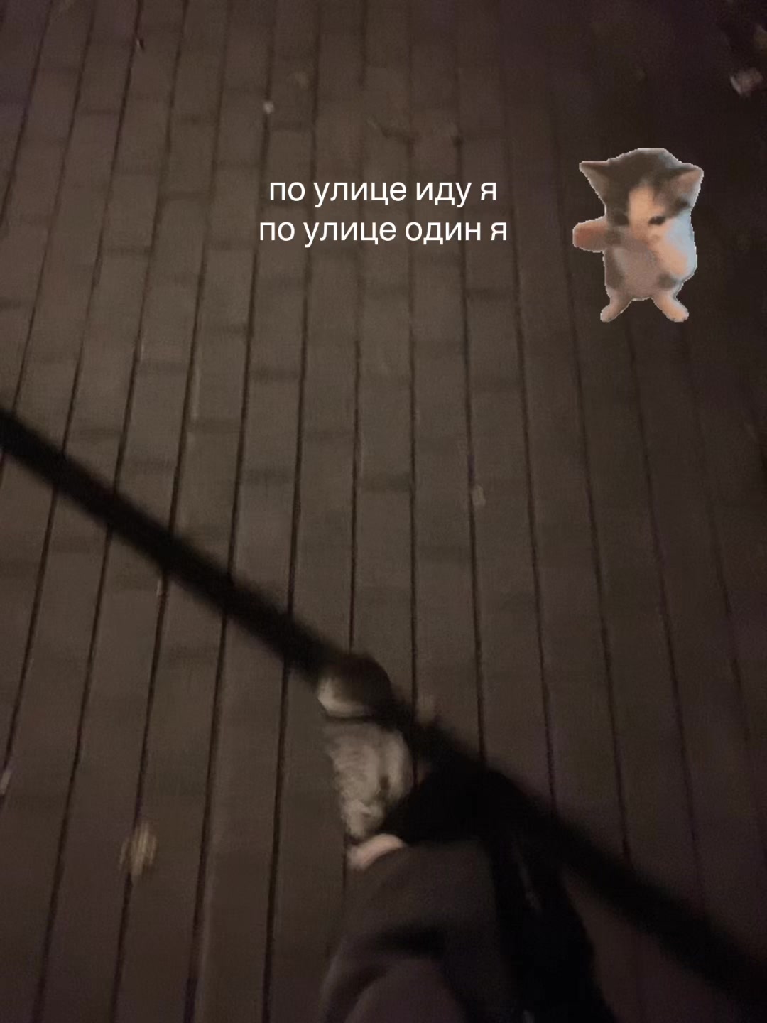 @juziks🙊🙊