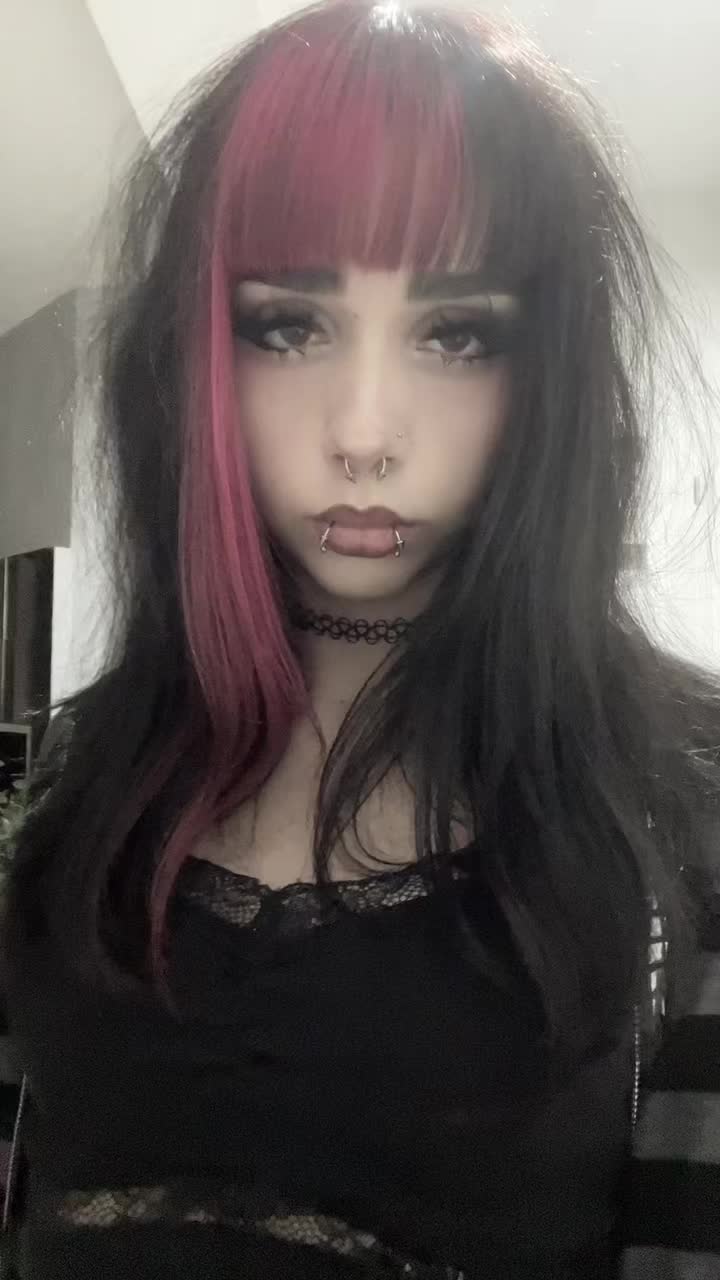 @🐾🐾🐾