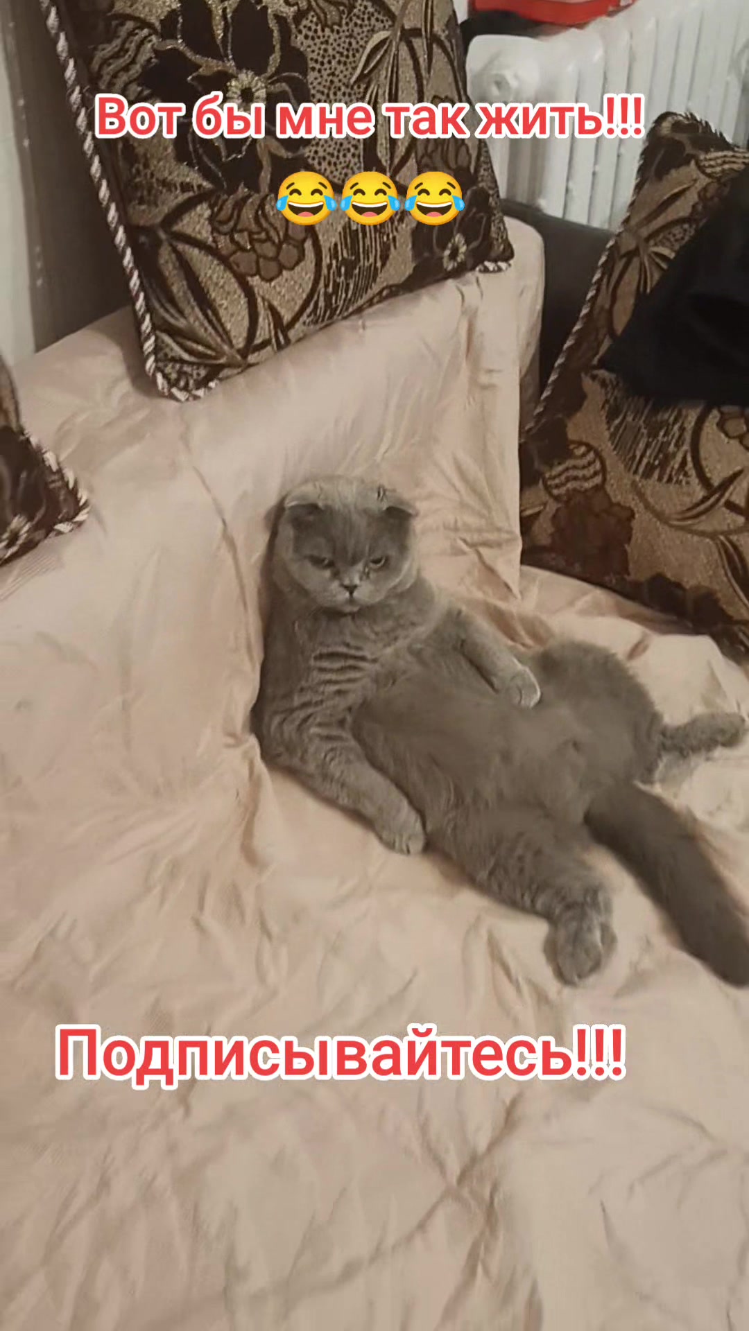 @Варибрус777