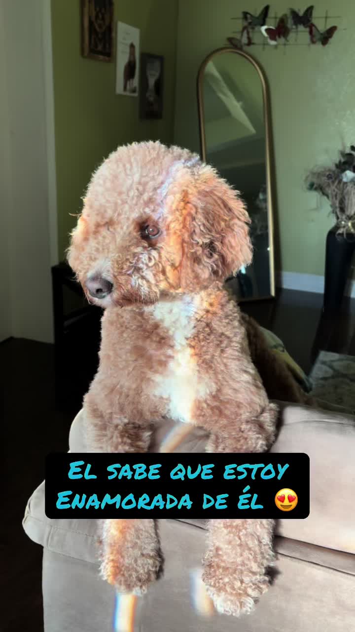@Reyna y Churro 🐶😍
