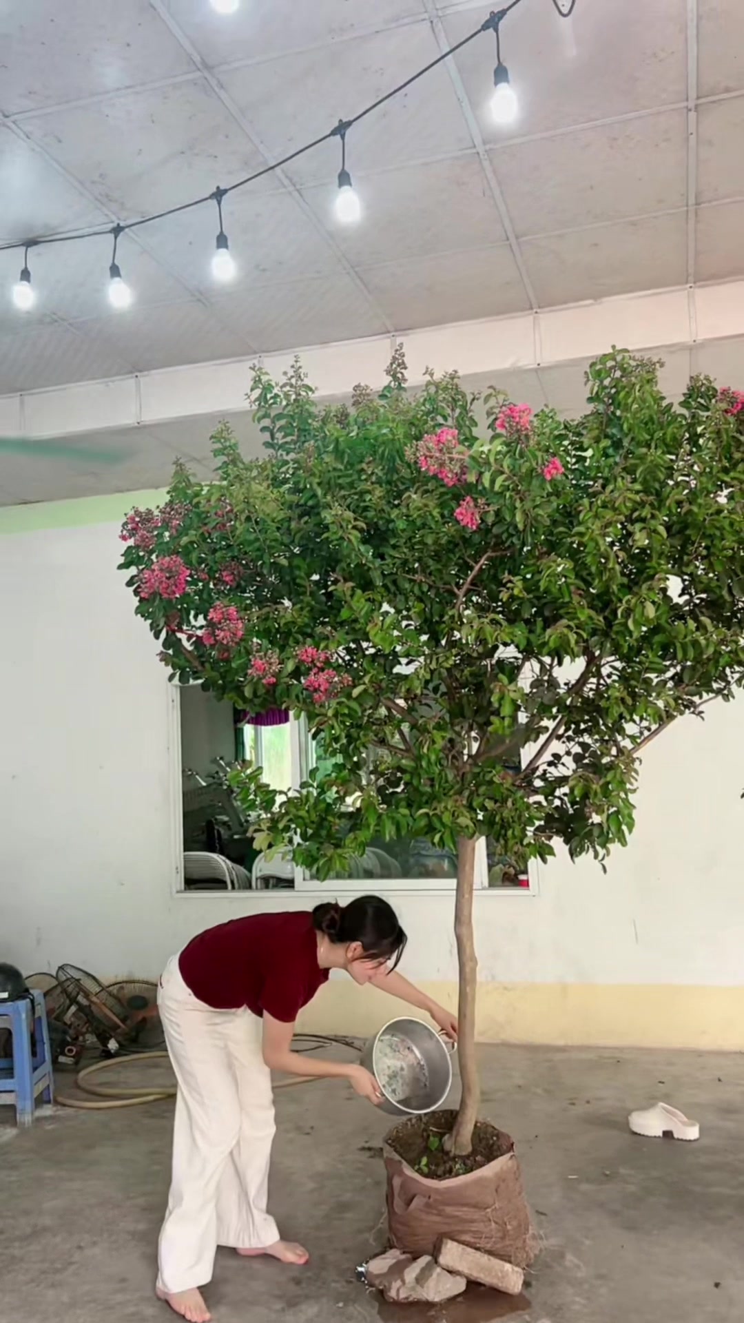 @Khổng La