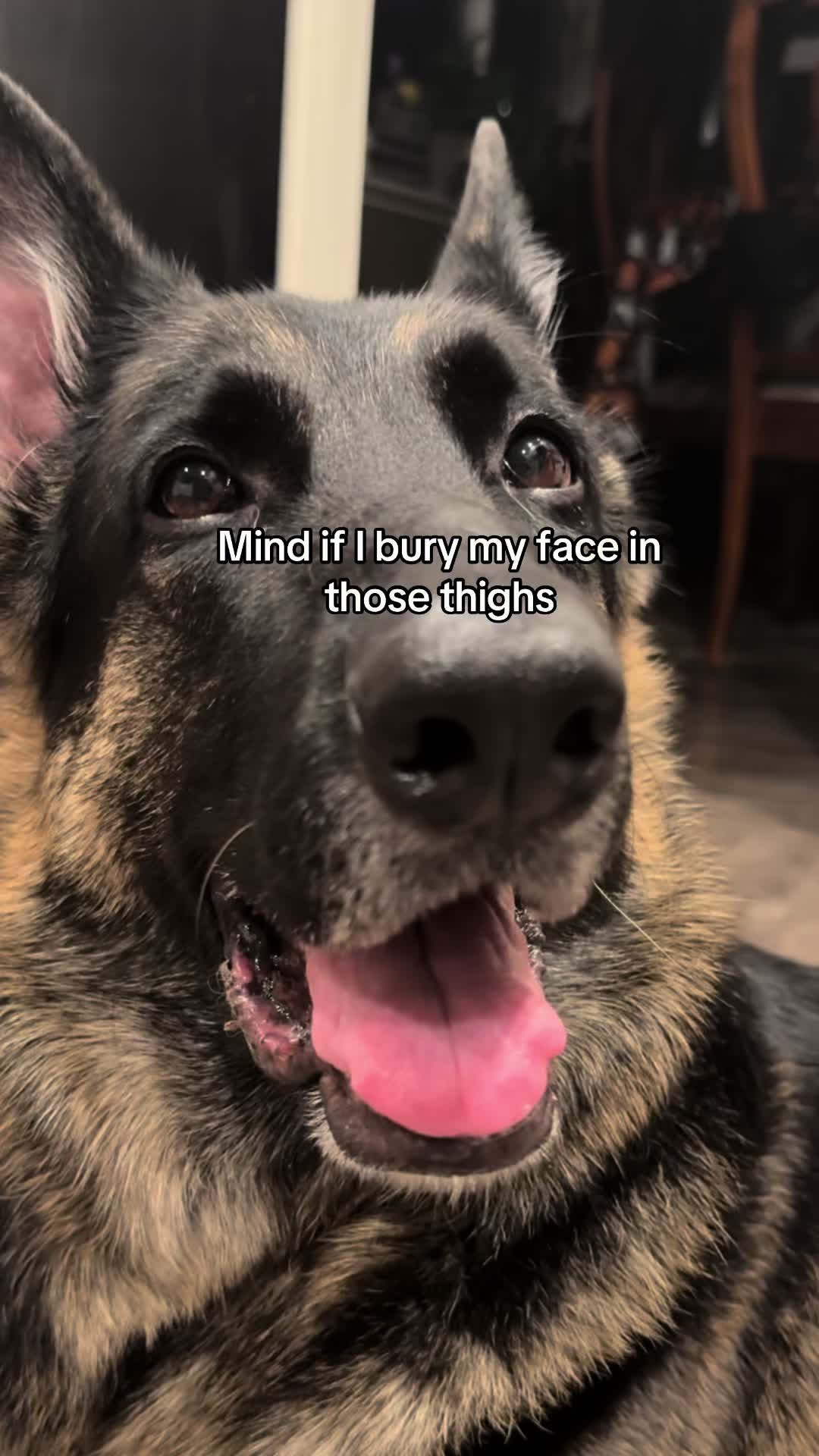 @Bhris