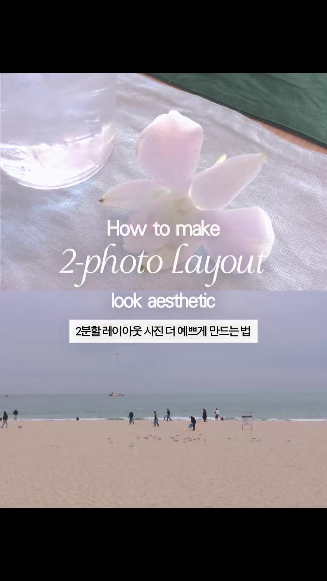 @베리 ベリ🪄