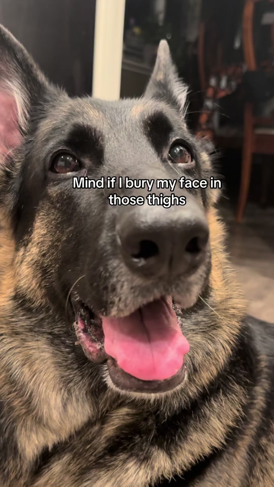 @Bhris