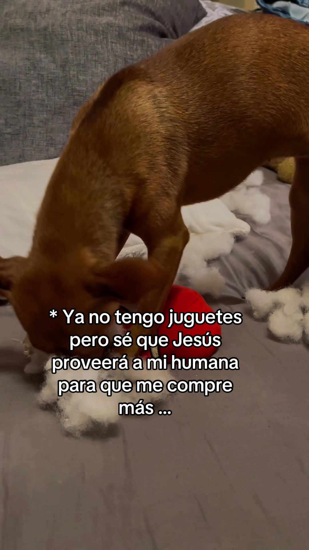 @Liz Vall.