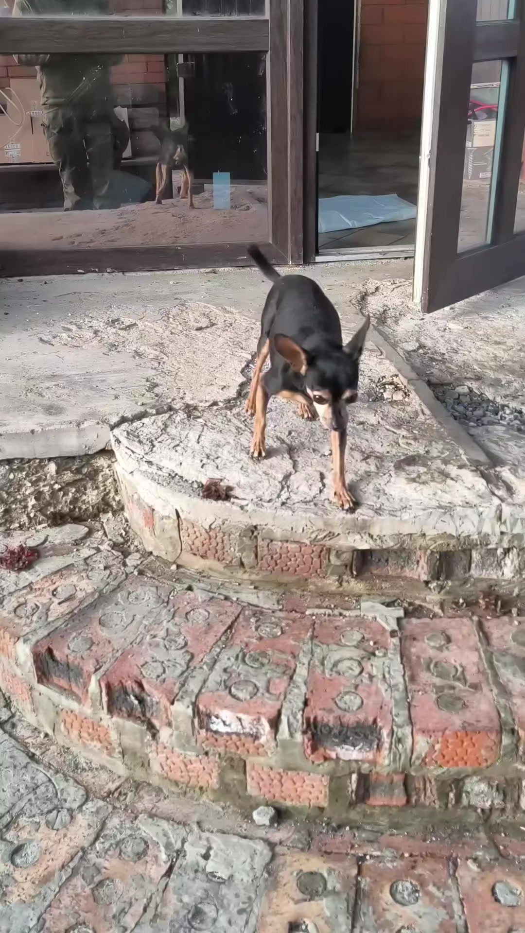 @Стас