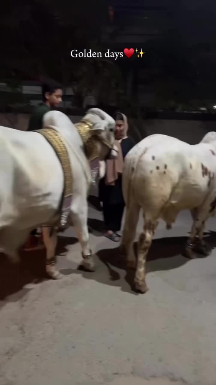 @سیدہ عنایہ