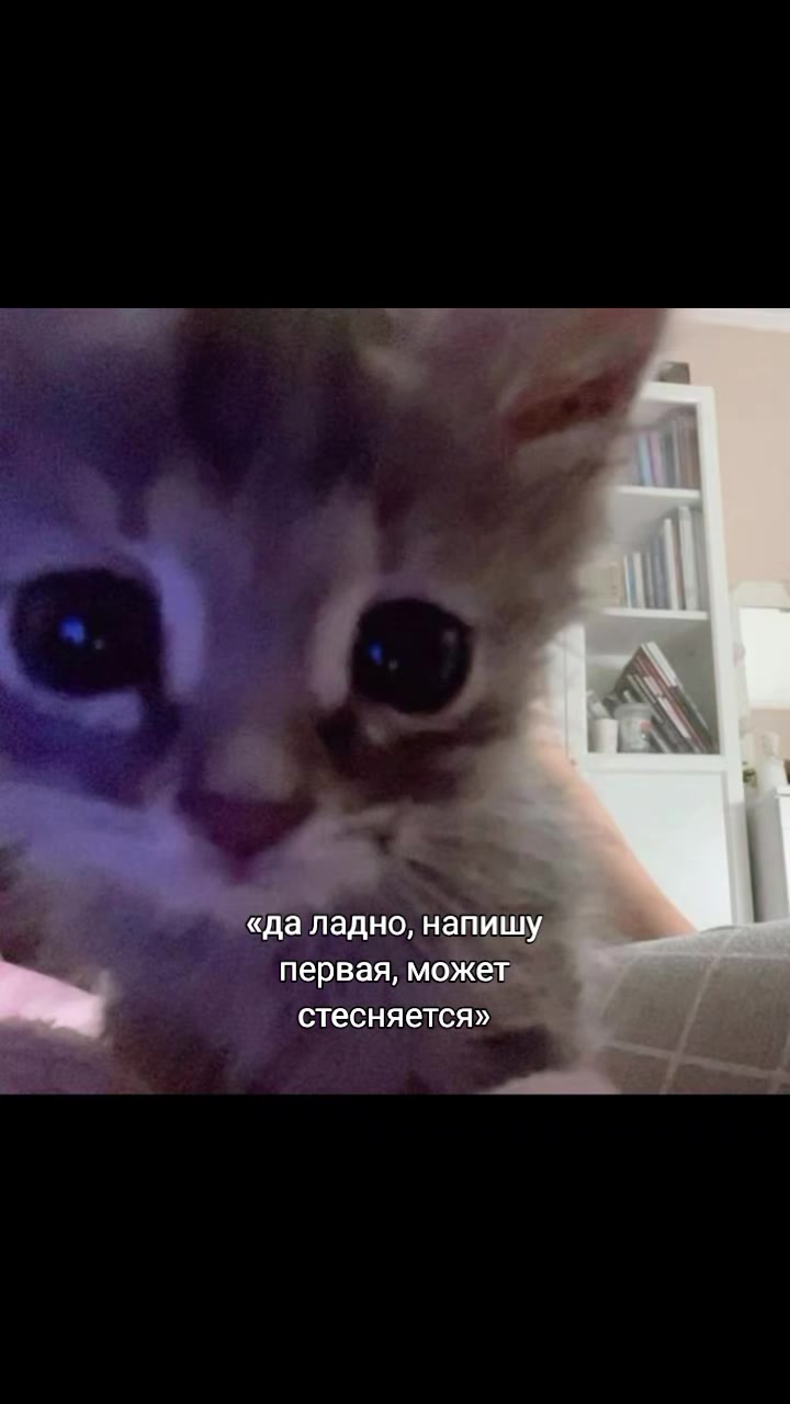 @тгк:диша👋🏻