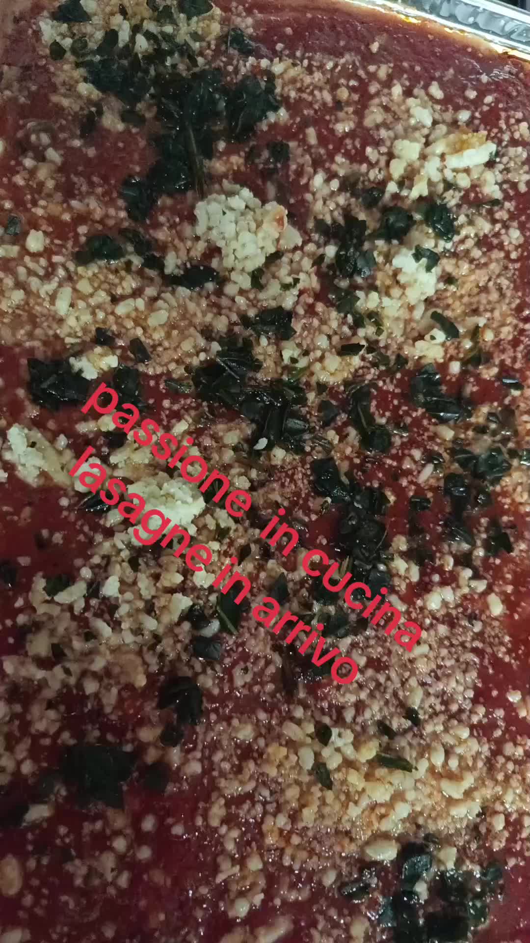 @principessa-del-Tiktok33