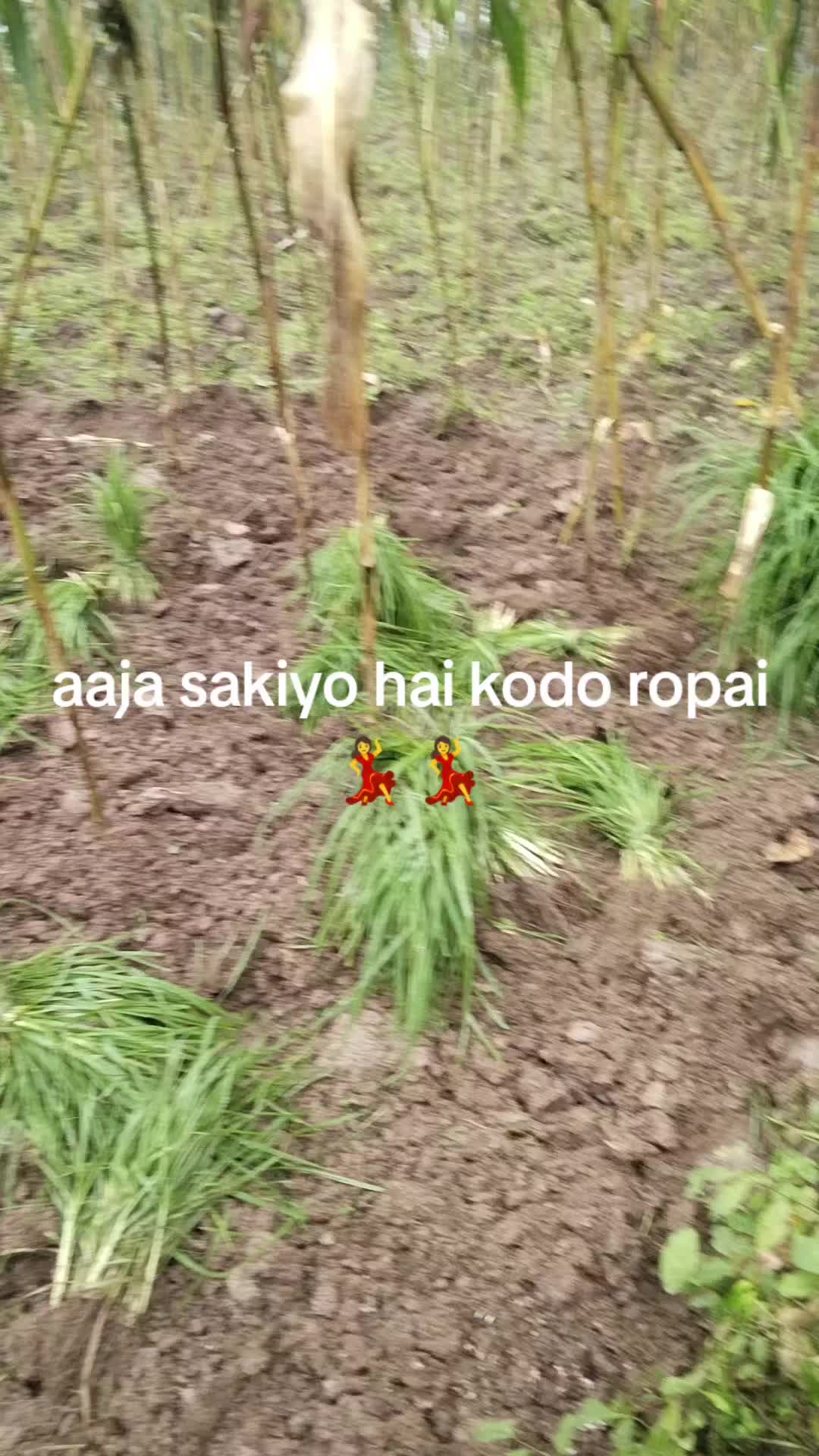 @SAJINA RAI Subba๐ซ๐ซ๐ซ