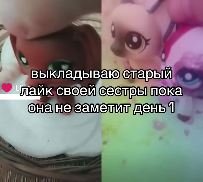 @randomuser123488521