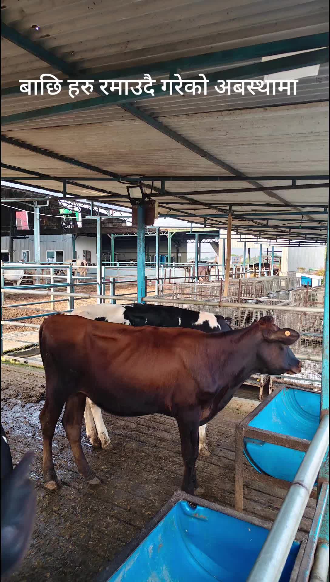 @Banjara Agro