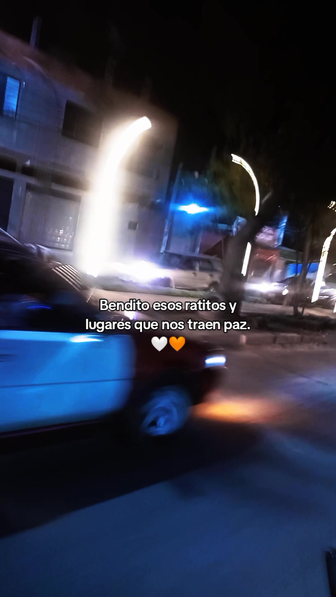 @roxanarojas664