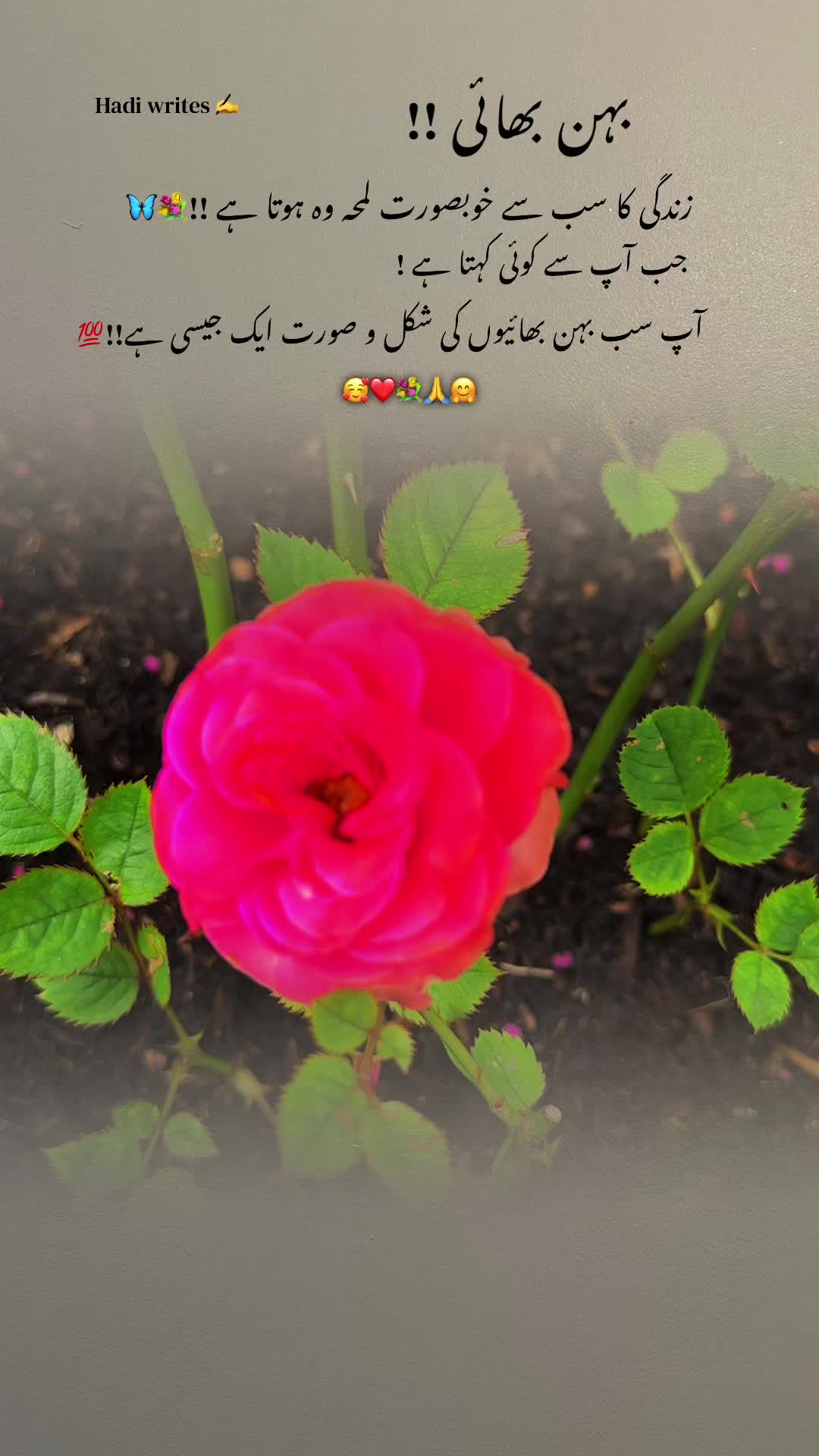 @Bhai Behen Quotes ✍️🥰🙏