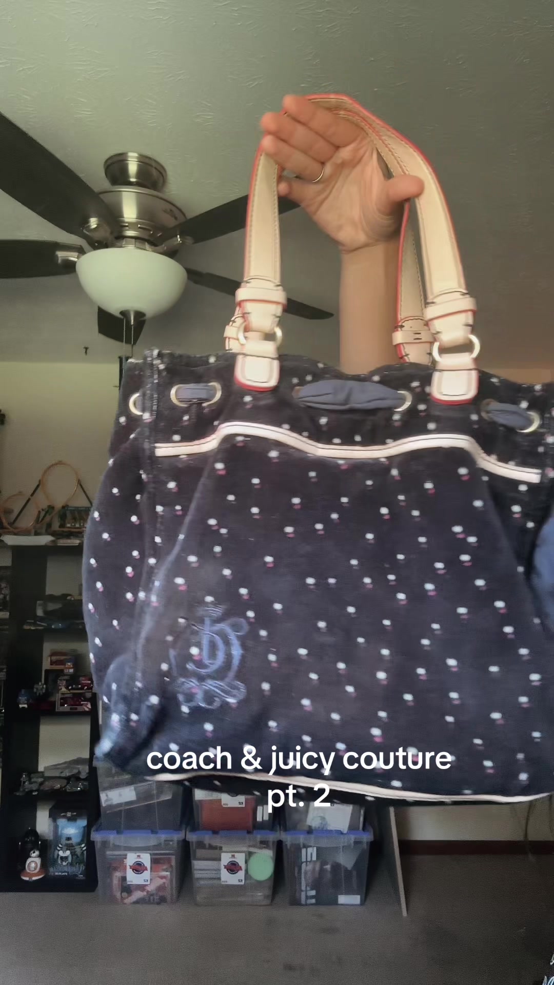 @lillyraye🐞