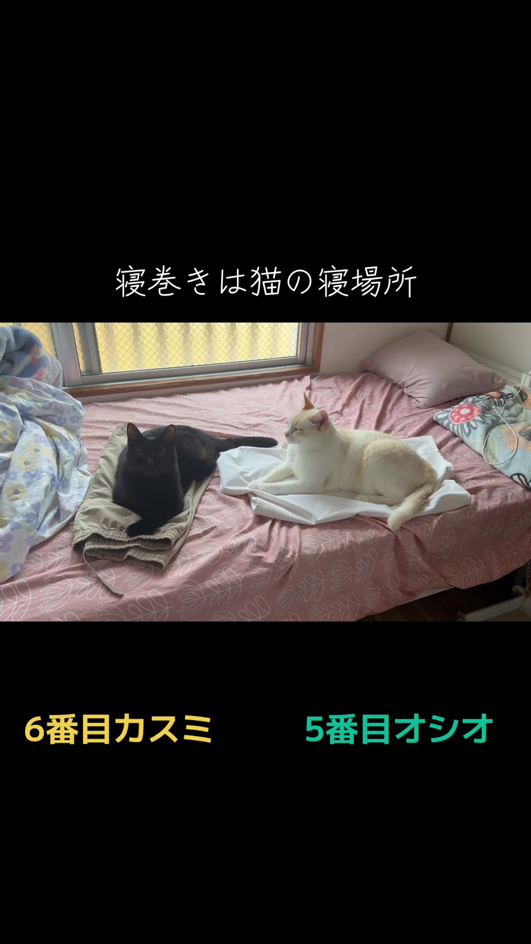 @てるぼー