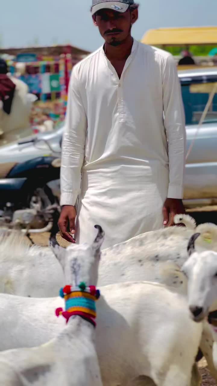 @✨.زاهد سولنگي واپاري. 🐐