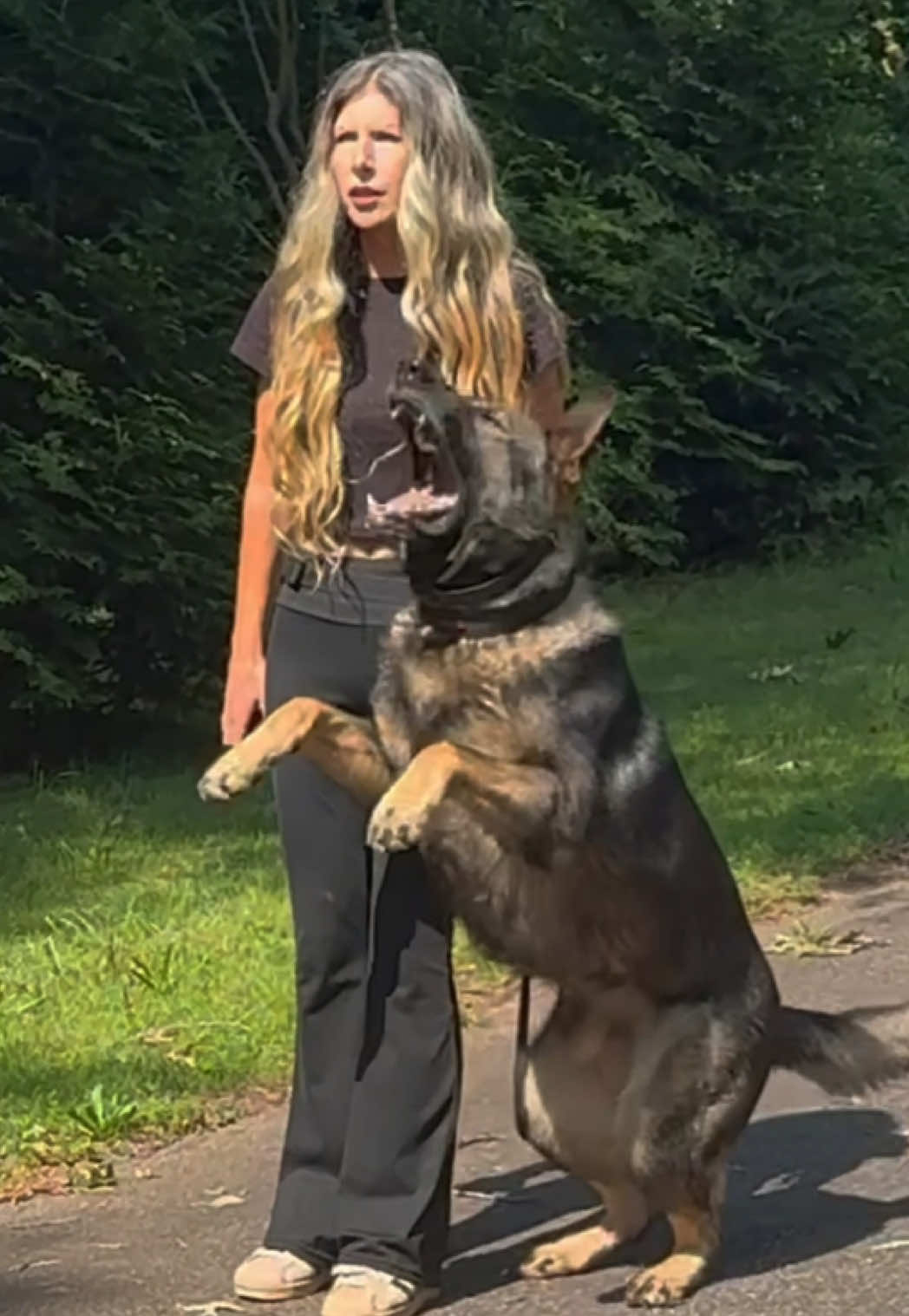 @True Guard K9 I Tara
