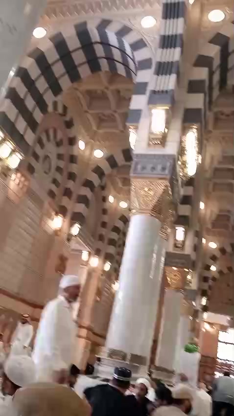 @M Rashid