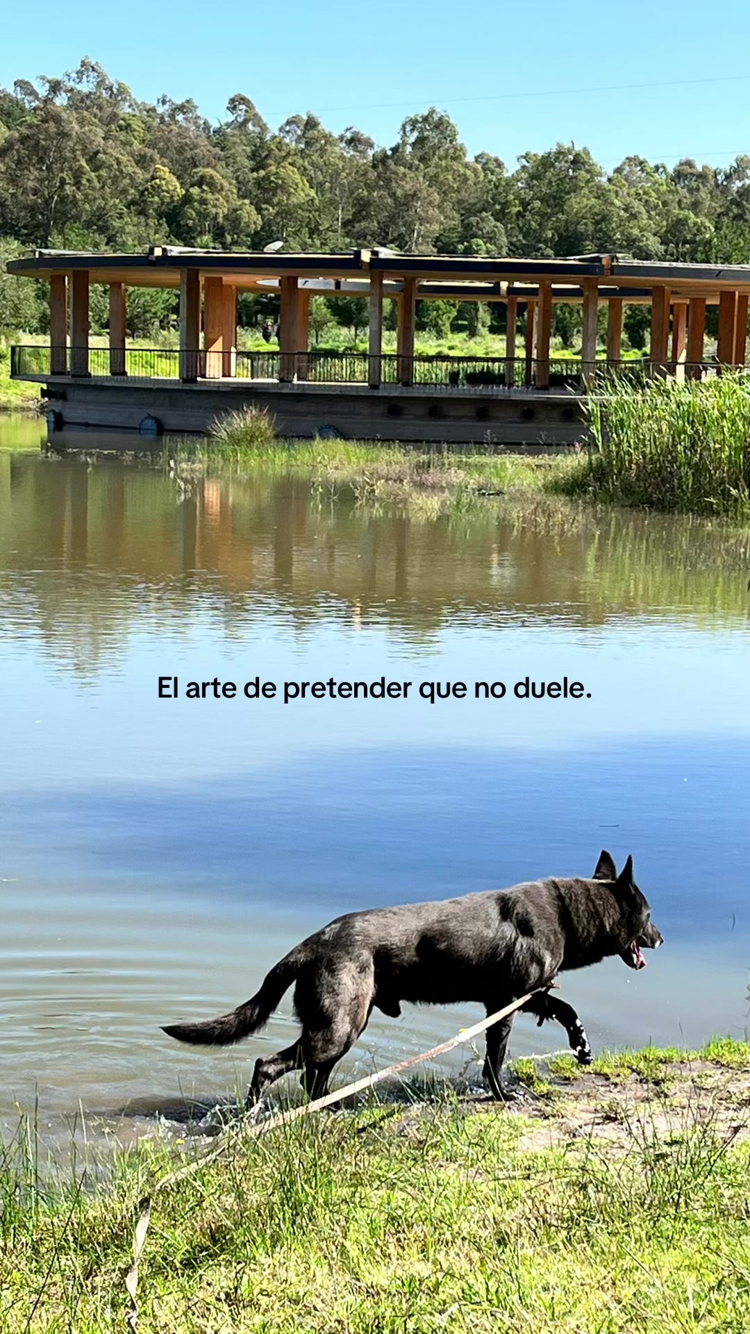 @☆ Valverde ★🍒