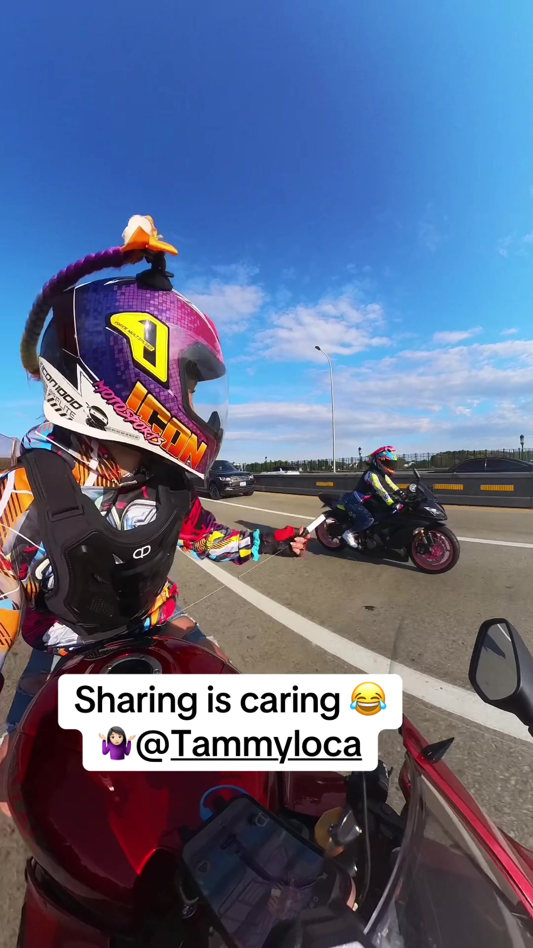 @Suzuki Sue