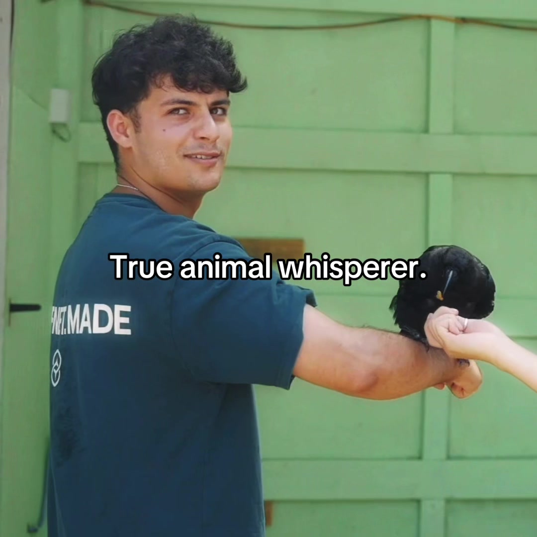 @StableRonaldo