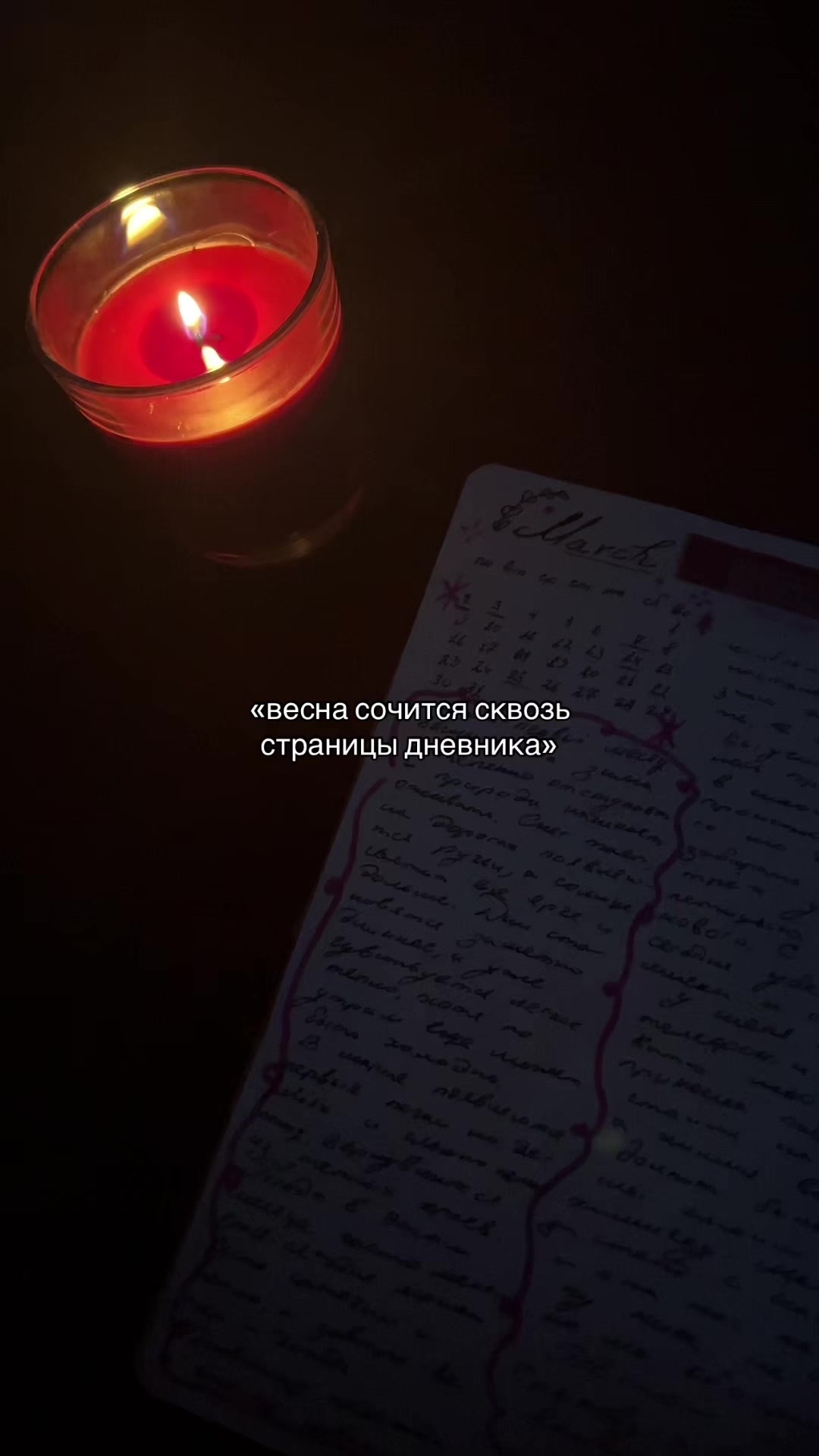 @шиншила.com