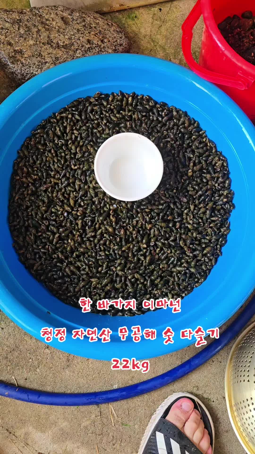 @나는 자연인이다 ~🤪