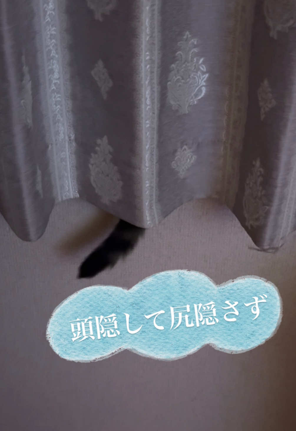@さっことおちょ