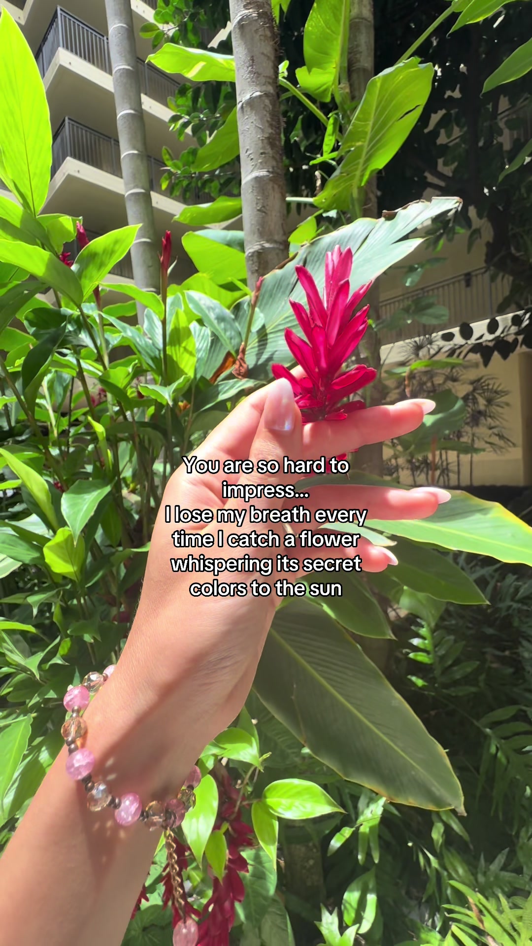 @MiAnanda