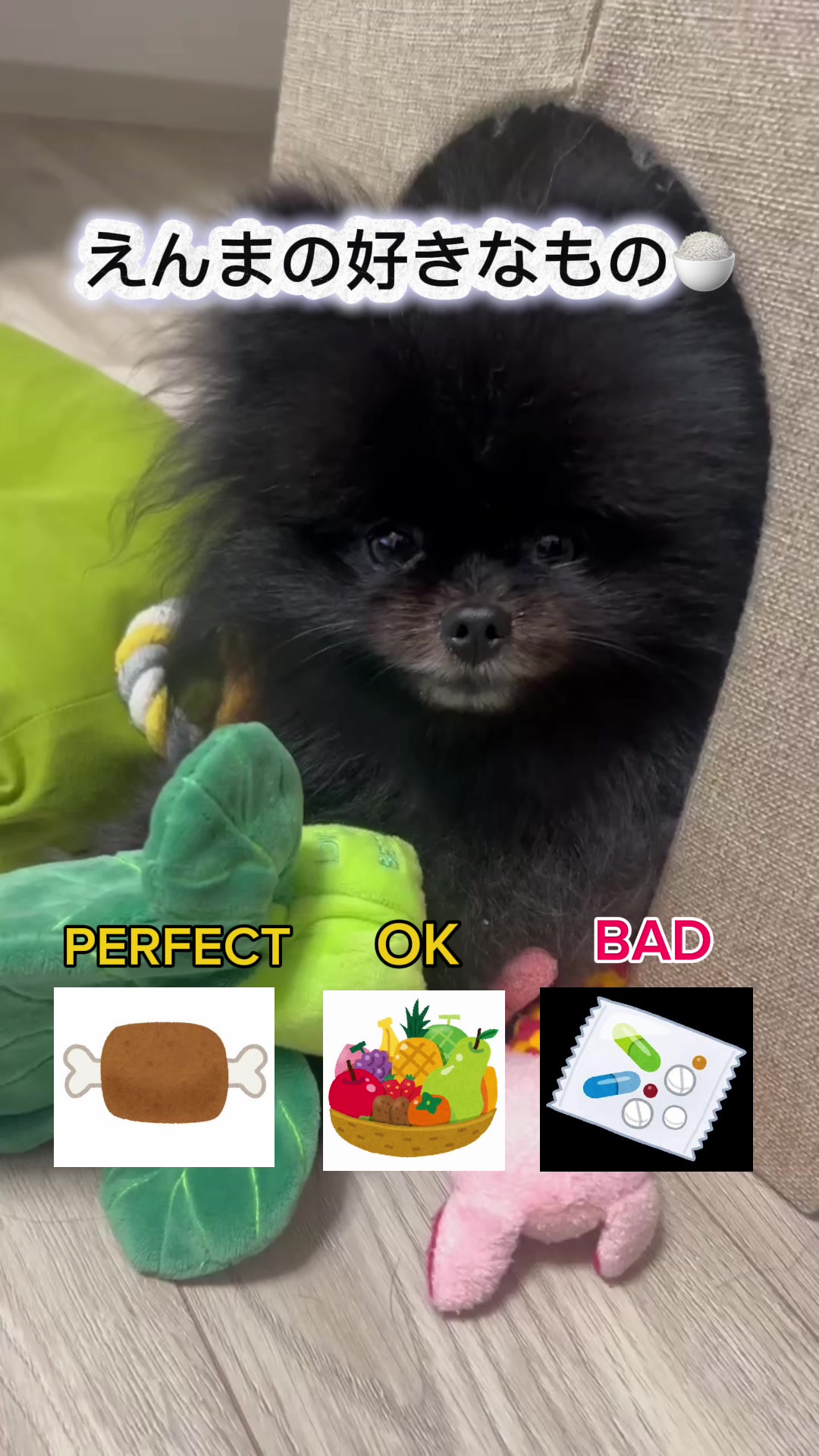 @黒ポメのえんま🐻🍿