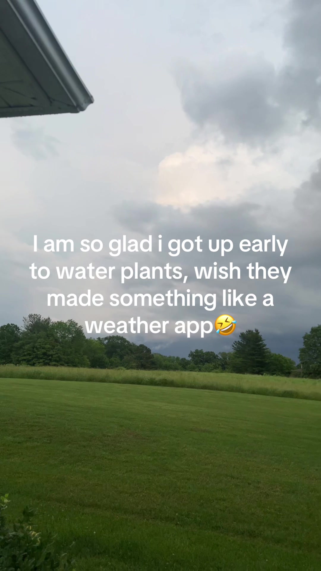 @pattyclark17