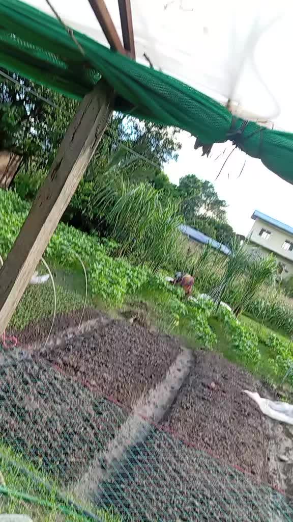 @prem nursery