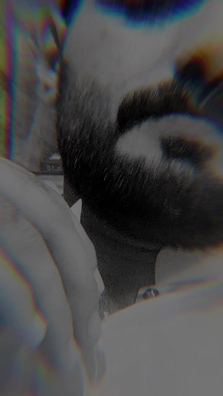 @𝐒𝐚𝐚𝐝𝐚𝐭𝐘𝐨𝐮𝐬𝐚𝐟𝐳𝐚𝐢
