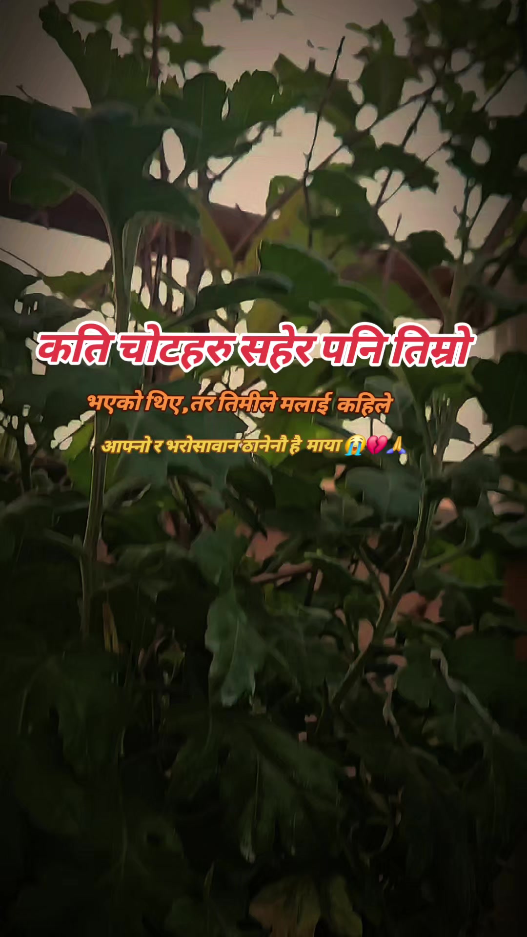 @AASHISH🤗🤗