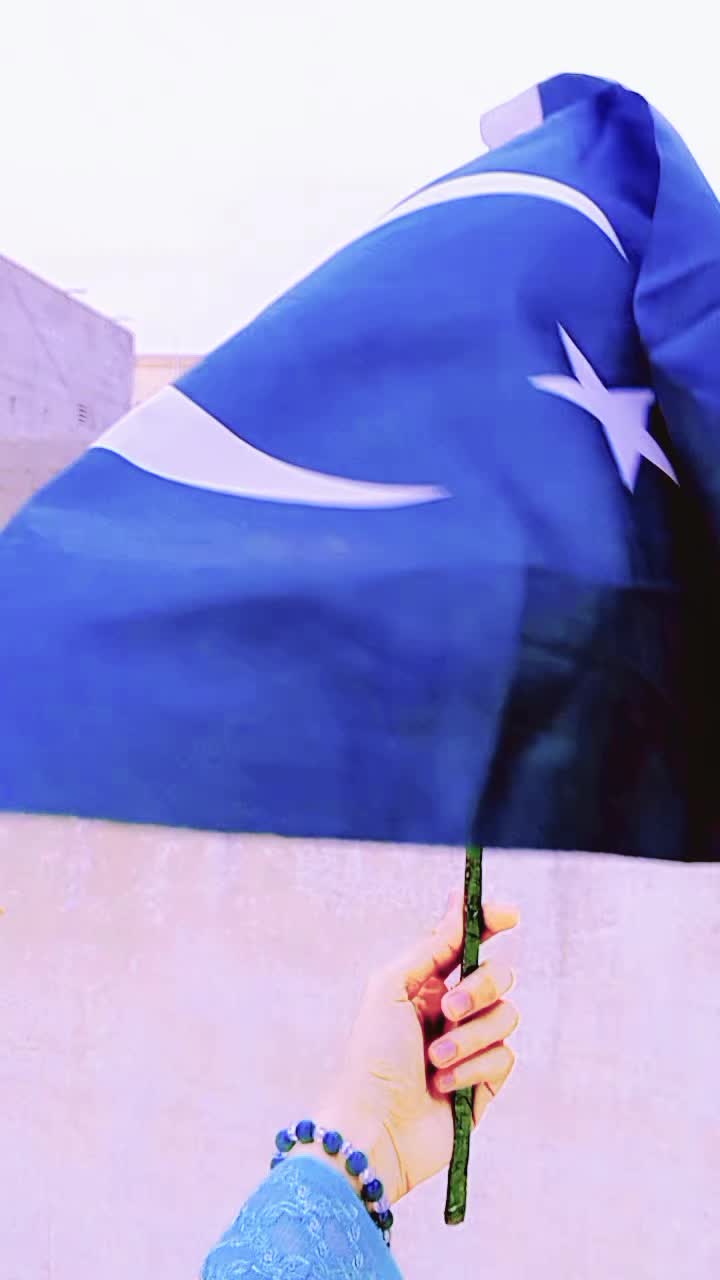 @Sidra-Tul-Muntaha