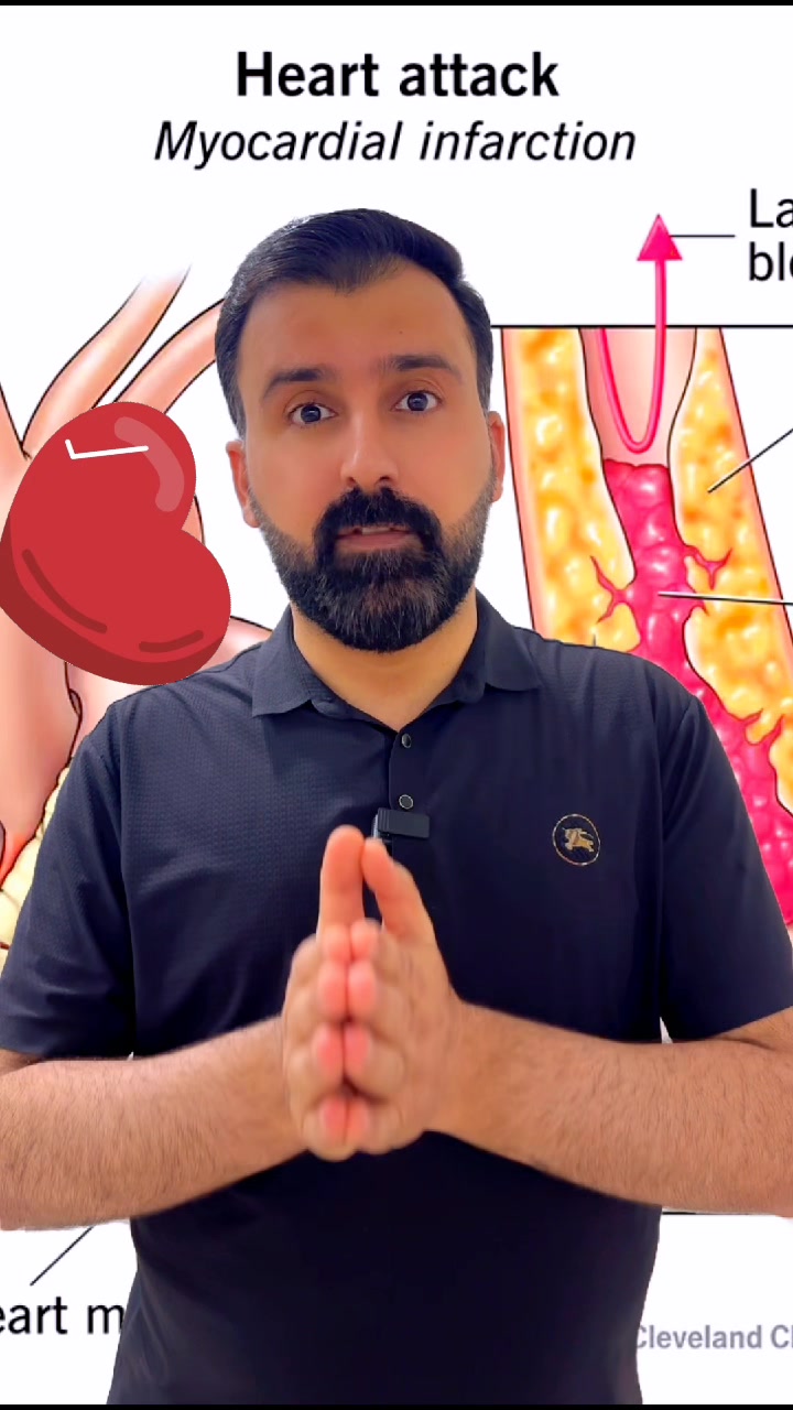 @dilovanhesensilevani