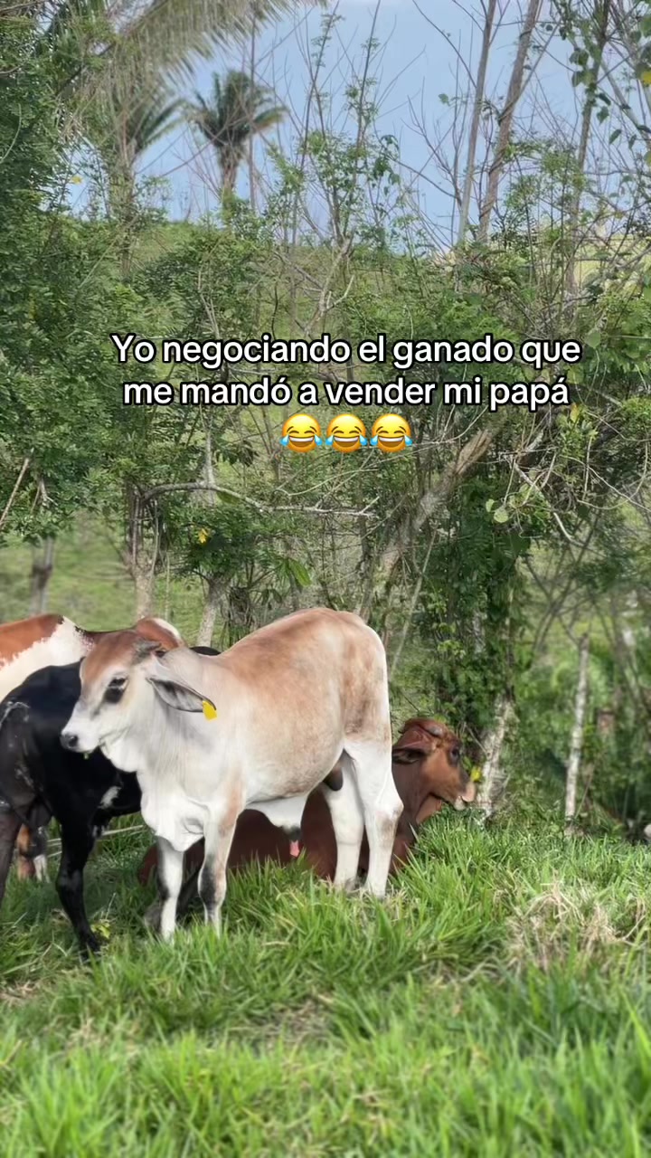 @ALVAREZ 🤠&hearts;️