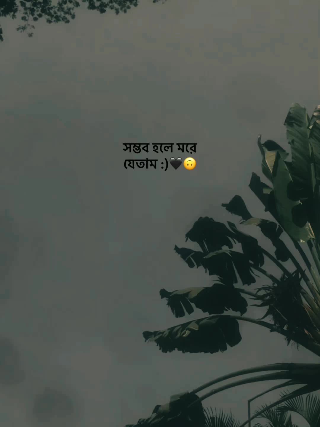 @-বিবাহিত কবি ? 📓
