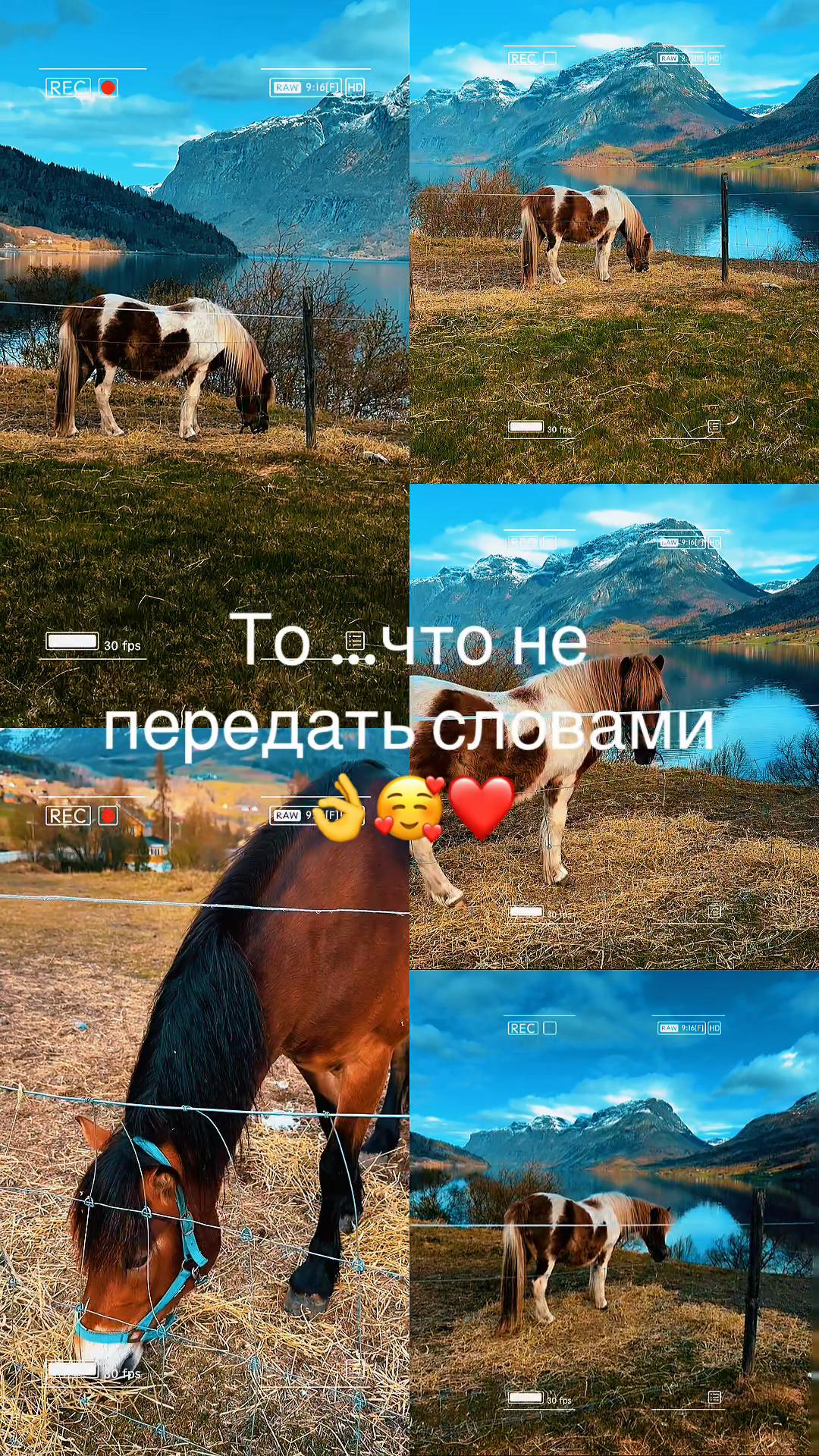 @не такая как все😊