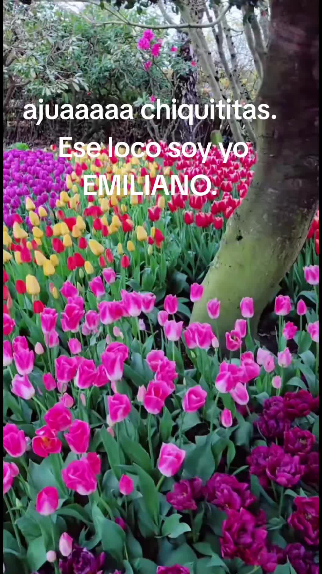 @EMILIANO 🛻👊🐸