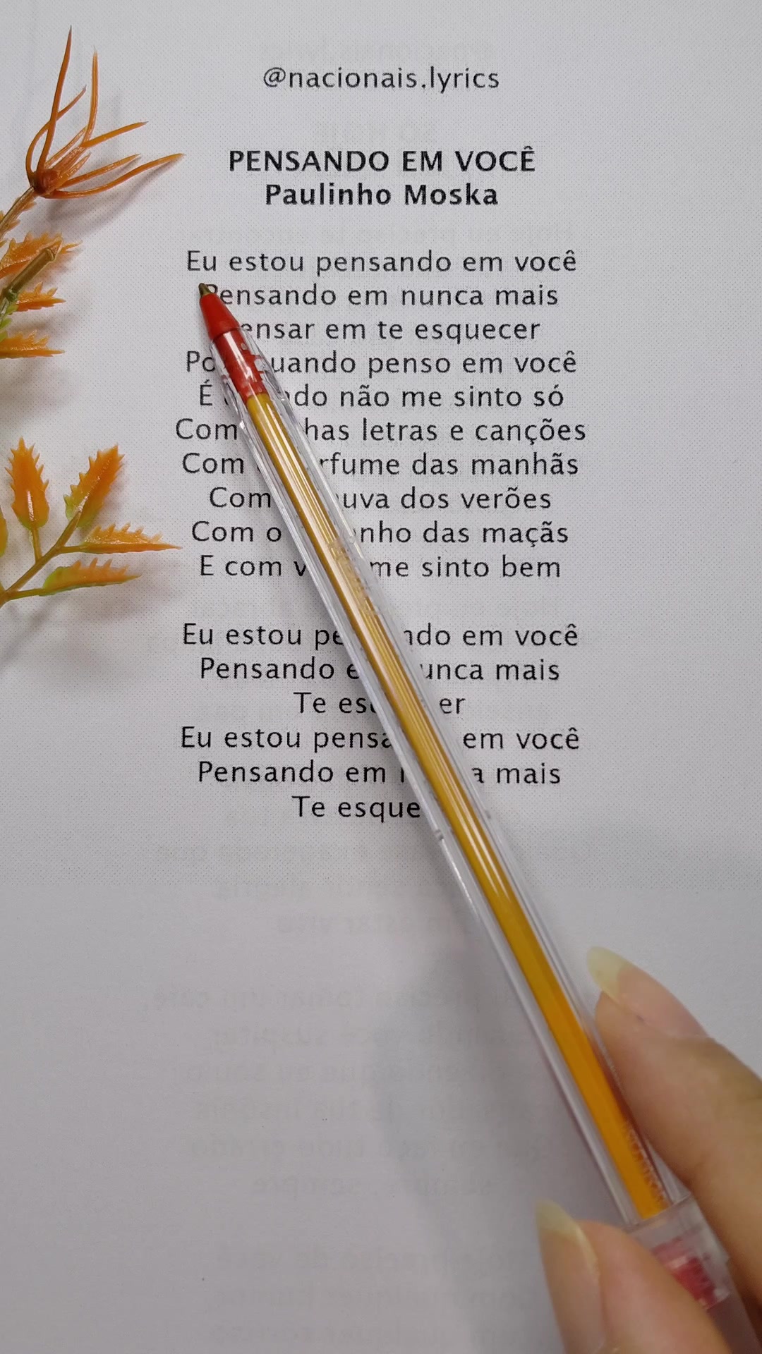 @nacionais lyrics