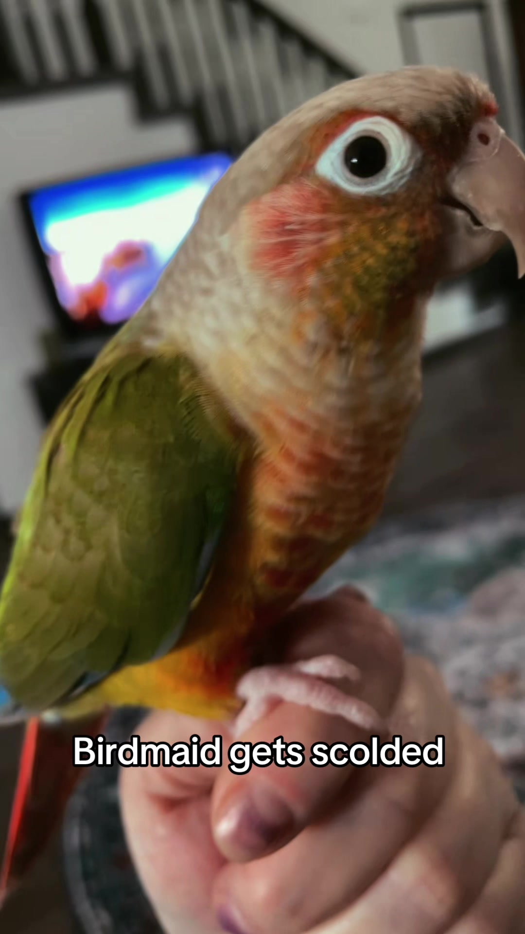 @Chomps