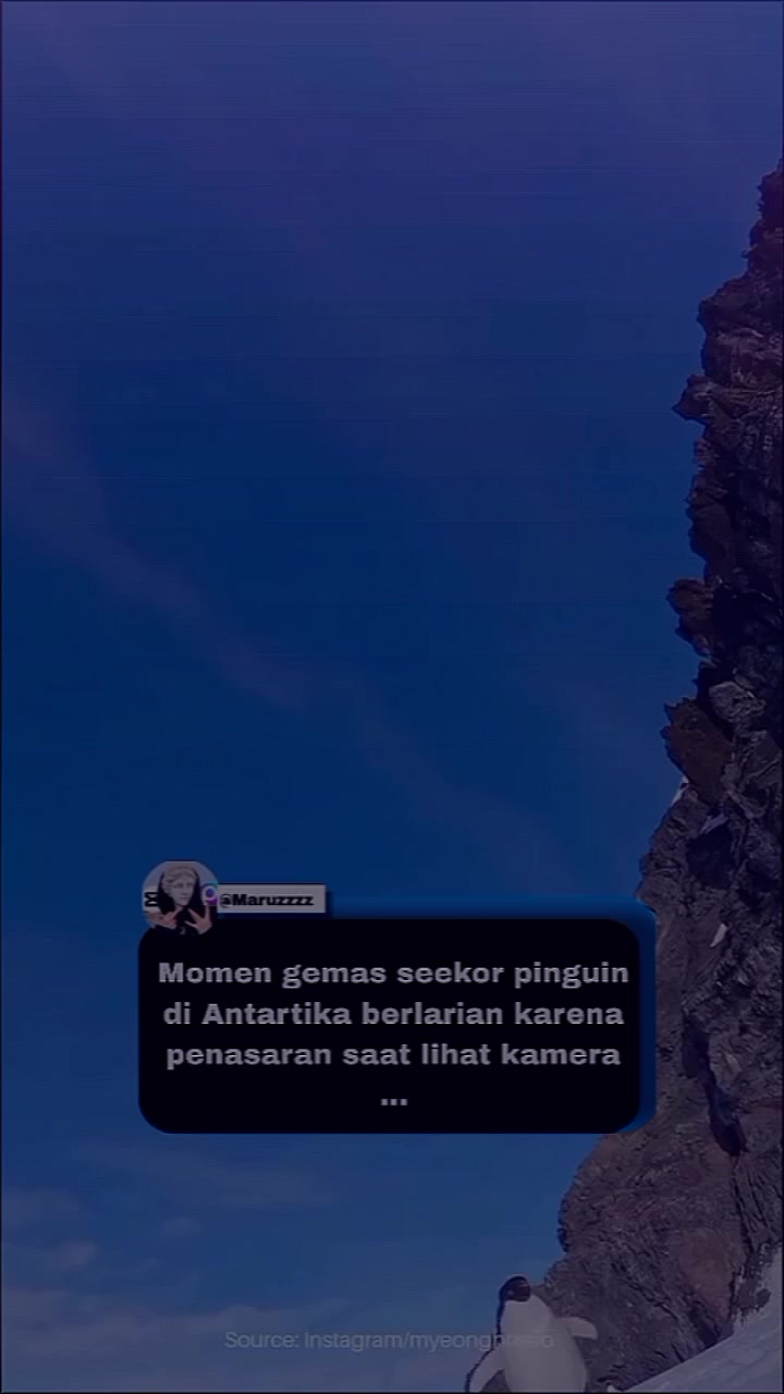 @Maruzzzz