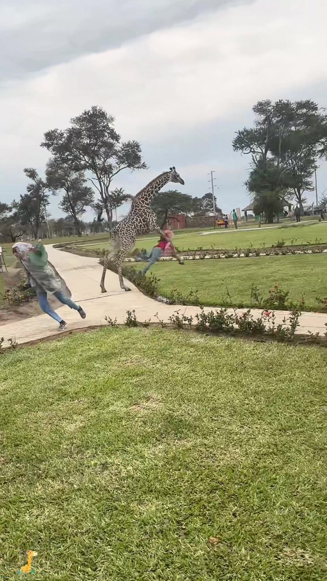 @SneakyFails