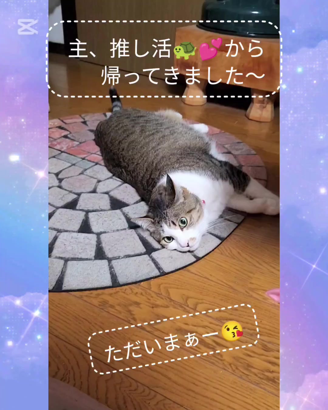 @momo