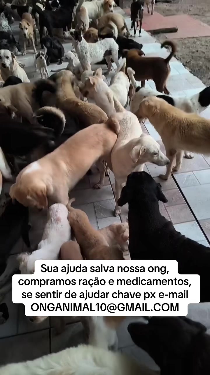 @ABRIGO DA VÓ
