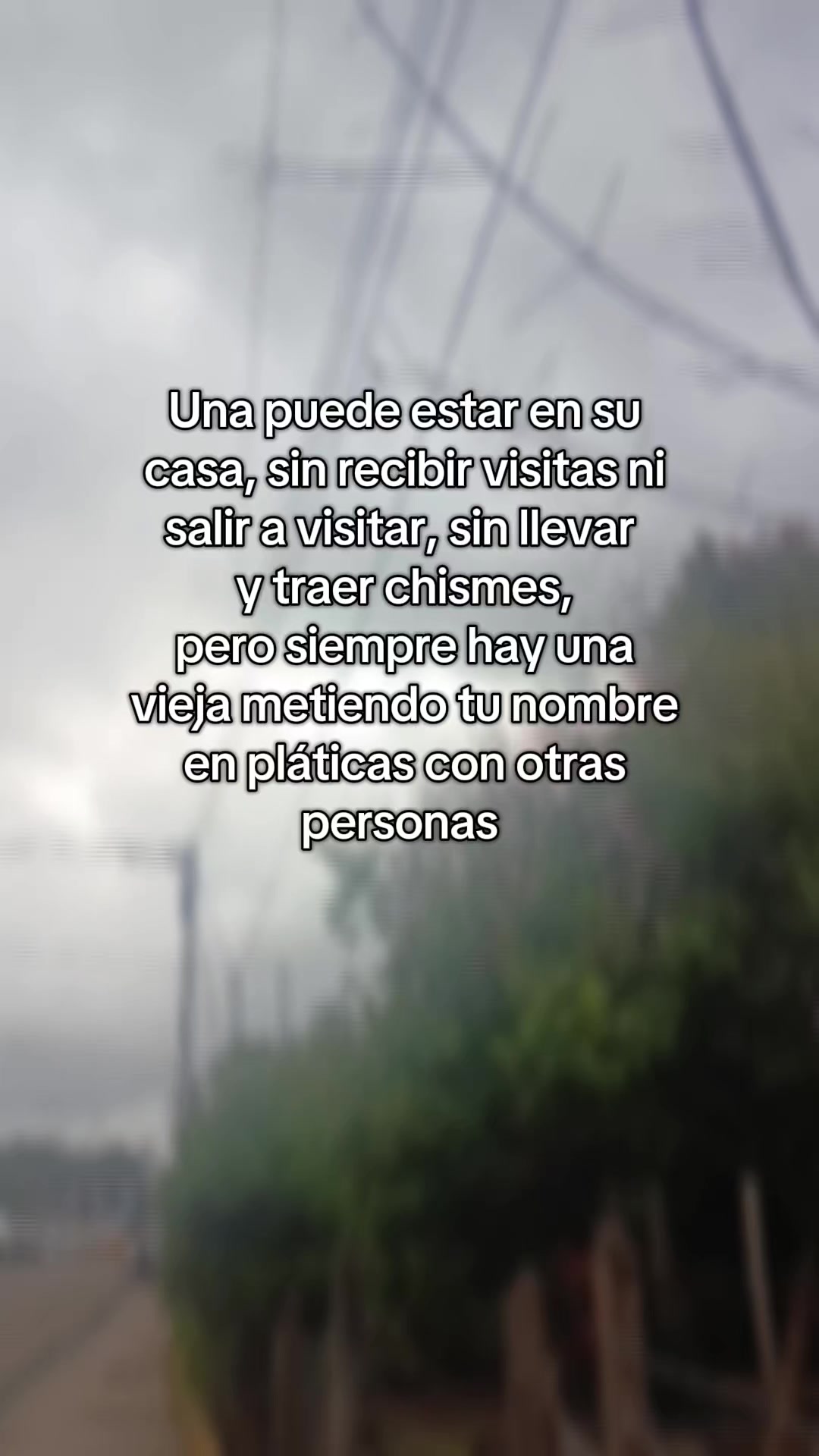 @_Oliveida Zeas Osegueda_💋🤍😘
